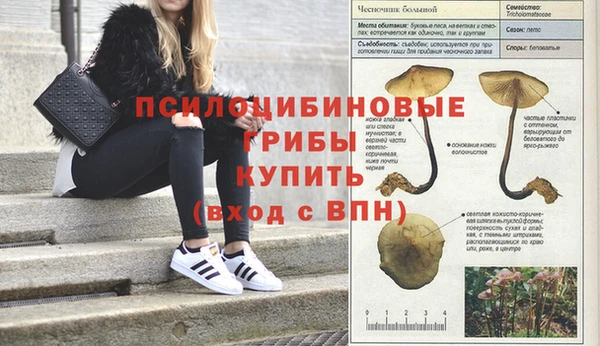 jwh Богородицк
