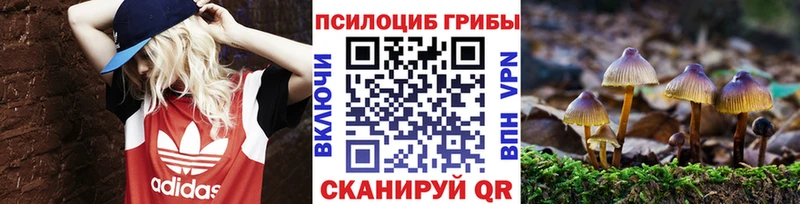 Псилоцибиновые грибы ЛСД  где купить наркоту  Буйнакск 